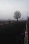mattino... mattino...
