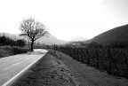 i colli i colli
