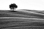 B/N  Val d'Orcia