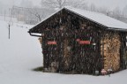 ...nevica... ...nevica...