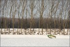 The Big Snow The Big Snow