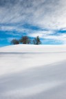 Snow Island Snow Island