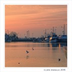 That special... light