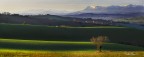 Le Marche Le Marche