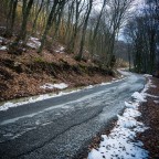 la strada nel bosco la strada nel bosco