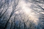 fantasmi d'inverno fantasmi d'inverno