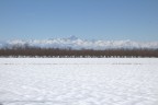 Il Monviso e la pianura bianca Il Monviso e la pianura bianca