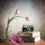 Kiev (omaggio a vecchia signora)