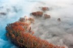 Bruma Autunnale Bruma Autunnale
