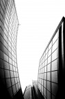 Linee milanesi Linee milanesi