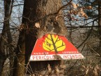 la forza della natura la forza della natura