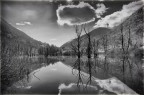 Desolazione Desolazione