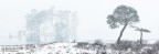 Una Panoramica sull'Inverno Una Panoramica sull'Inverno