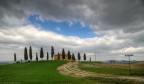 I cipressini I cipressini