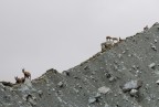 In cima al mondo In cima al mondo
