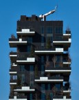 La cima del bosco verticale La cima del bosco verticale