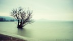 il lago il lago