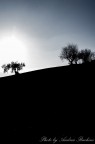 La collina La collina