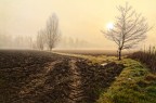 Campagna Mugellese 2 Campagna Mugellese 2