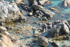 Alla ricerca di molluschi ohh.. Mario... che diceee?