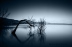 il lago il lago