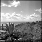 Hasselblad 503cx con 50mm 
scansione da negativo Rollei retro S80
Calabria, 2010