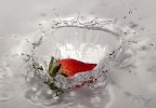 Splash Splash