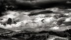B/W B/W