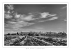 Paesaggio di campagna Paesaggio di campagna