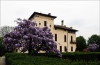 Parco Villa Cusani_Carate Brianza