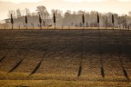 Campagne Toscane