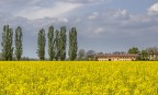 _MG_5676 _MG_5676
