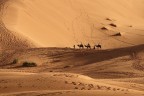 La foto � stata scattata nel deserto di Erg Chebbi (Marocco)