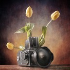 Una foto? Una foto?