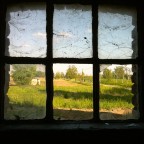 IMG_1377 IMG_1377