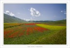 Passeggiate tra i colori Passeggiate tra i colori