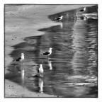 Il bagno della domenica