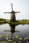 Holland Holland