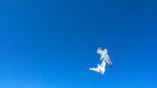 Lotta in cielo... Lotta in cielo...