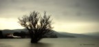 lago di Bracciano lago di Bracciano