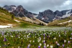 E' primavera E' primavera