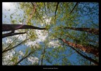 urlando contro il cielo! urlando contro il cielo!