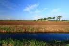 Campagna pavese Campagna pavese