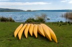 Banane al lago Banane al lago