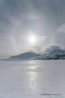 Ice Halo Ice Halo