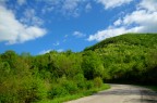 406 free4u : Nature 406 free4u : Nature
