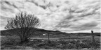 Collecroce di Nocera Umbra (PG) #3 Collecroce di Nocera Umbra (PG) #3