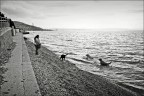 Img 520
