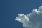 Cloud Duck