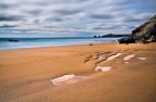 Quiberon c�te sauvage